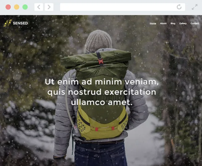 Blog Templates